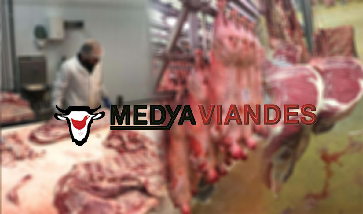 MEDYA VIANDES